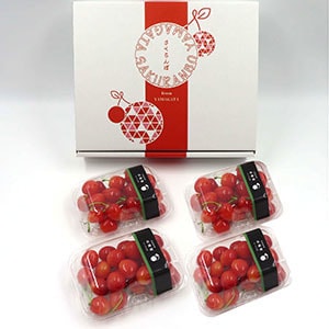 山形県産 さくらんぼ(佐藤錦)150g×4
