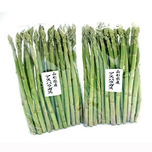 山形県置賜産アスパラガス1kg