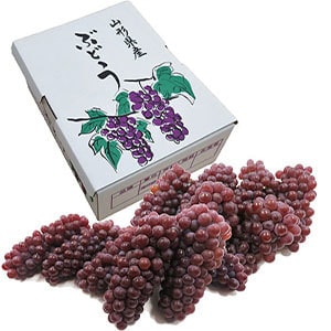 山形県置賜産デラウェア2kg
